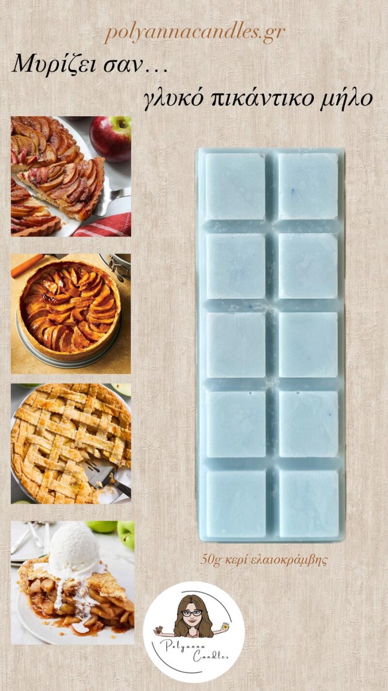 WAX MELT ΜΠΑΡΑ ΓΛΥΚΟ&ΠΙΚΑΝΤΙΚΟ ΜΗΛΟ