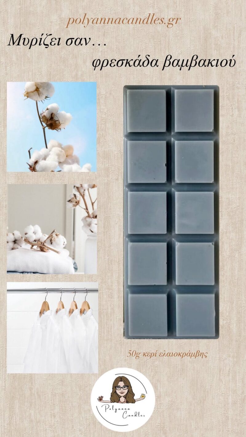 WAX MELT ΜΠΑΡΑ ΒΑΜΒΑΚΙ