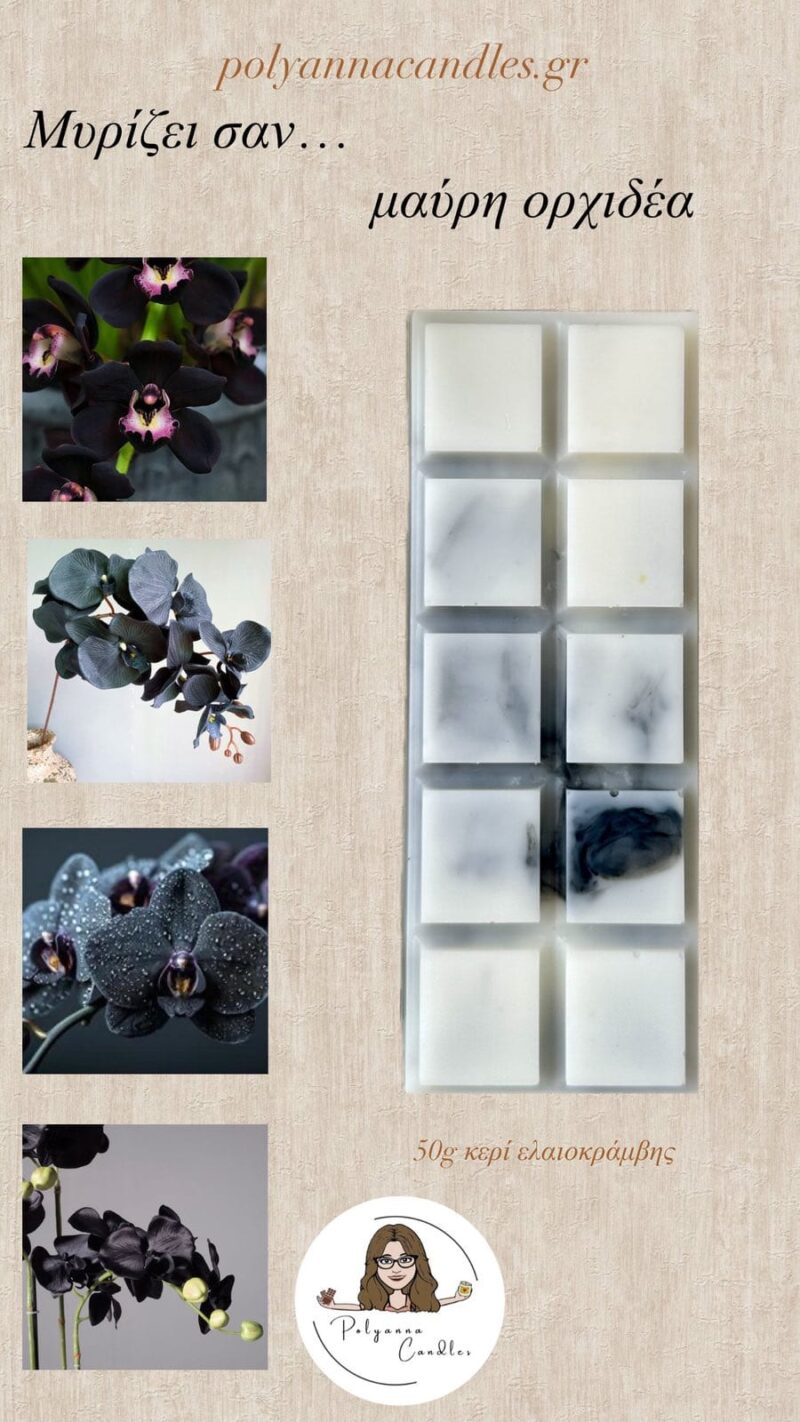 WAX MELT ΜΠΑΡΑ ΜΑΥΡΗ ΟΡΧΙΔΕΑ