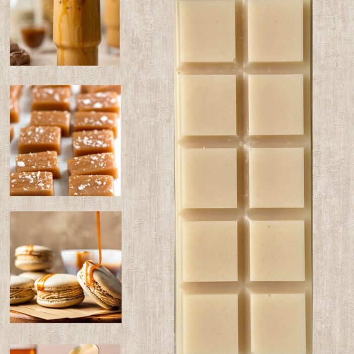 WAX MELT ΜΠΑΡΑ ΑΛΑΤΙΣΜΕΝΗ ΚΑΡΑΜΕΛΑ