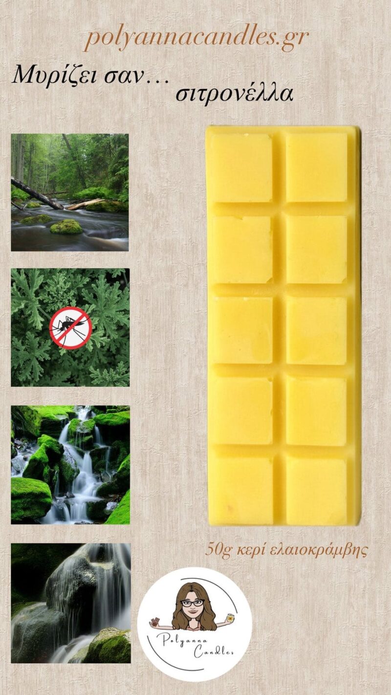 WAX MELT ΜΠΑΡΑ ΣΙΤΡΟΝΕΛΑ