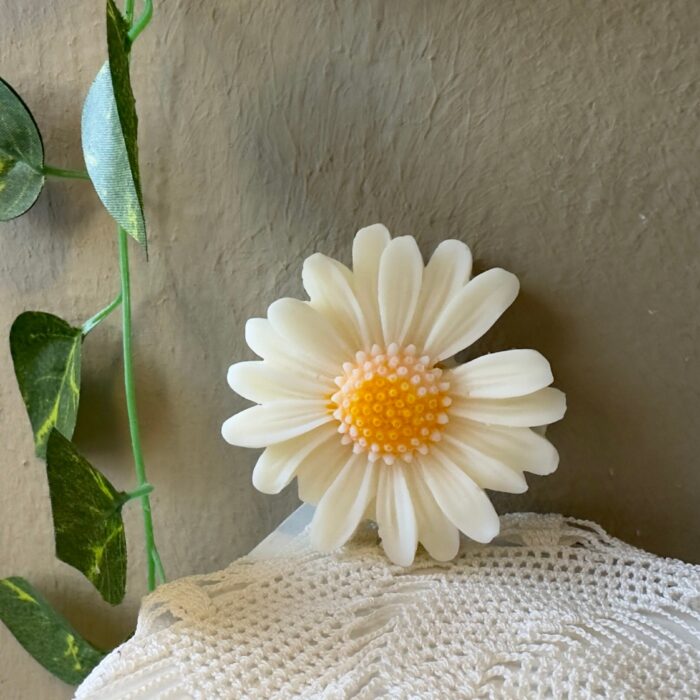 MY SWEET DAISY
