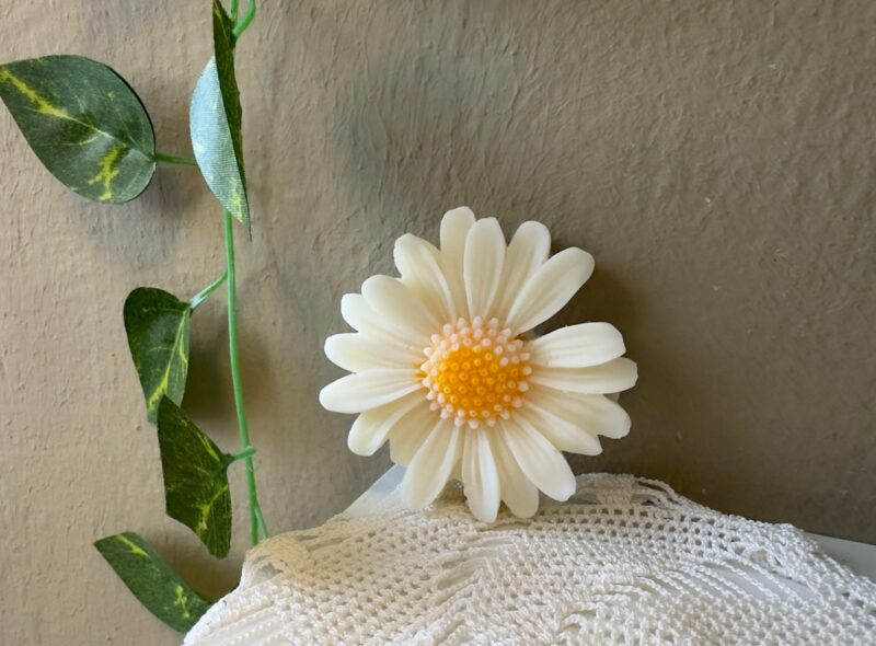 MY SWEET DAISY